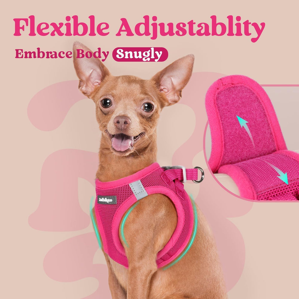 Lightweight Rabbitgoo harness ideal for travel and daily adventures