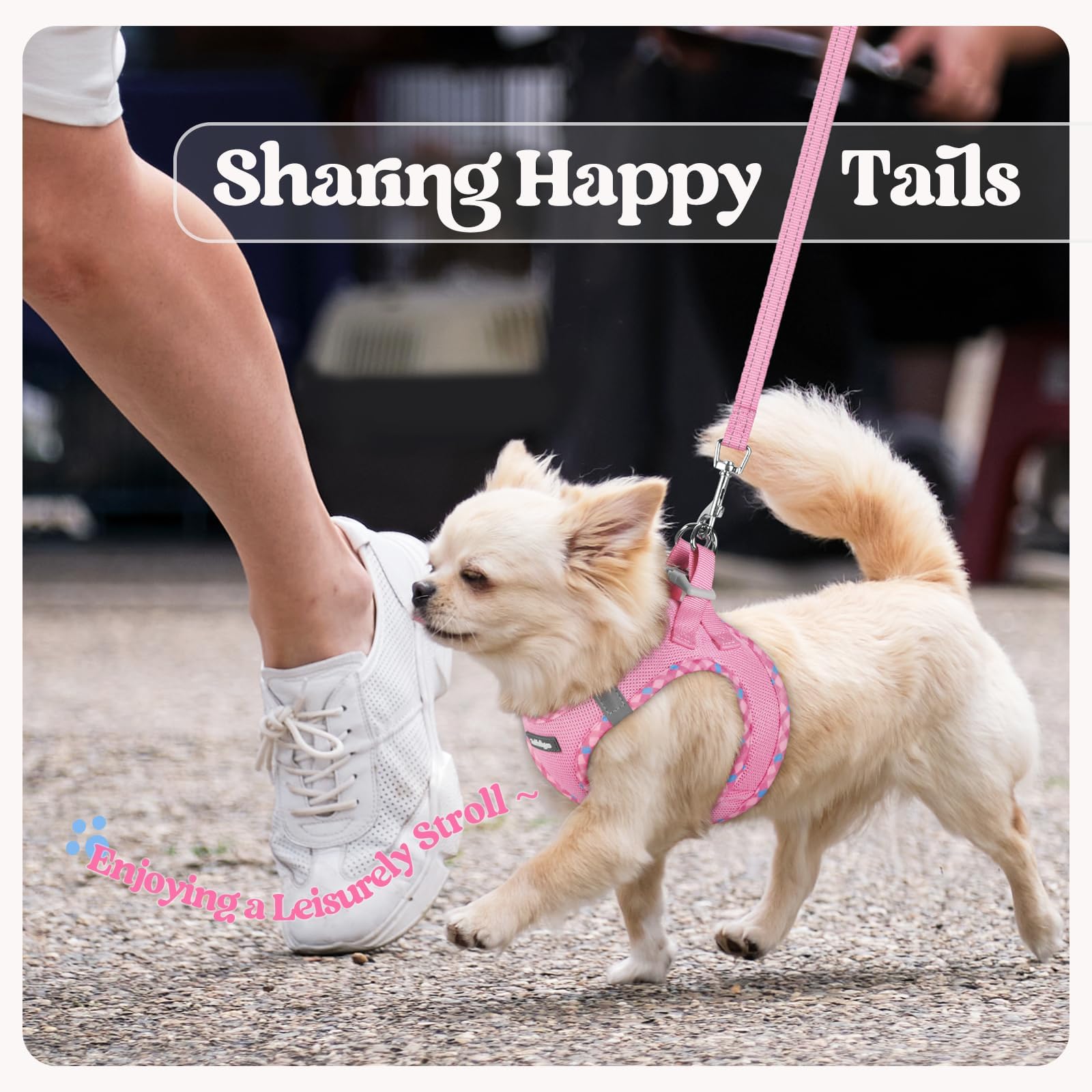 Rabbitgoo lightweight, ventilated harness ideal for warm-weather strolls.
