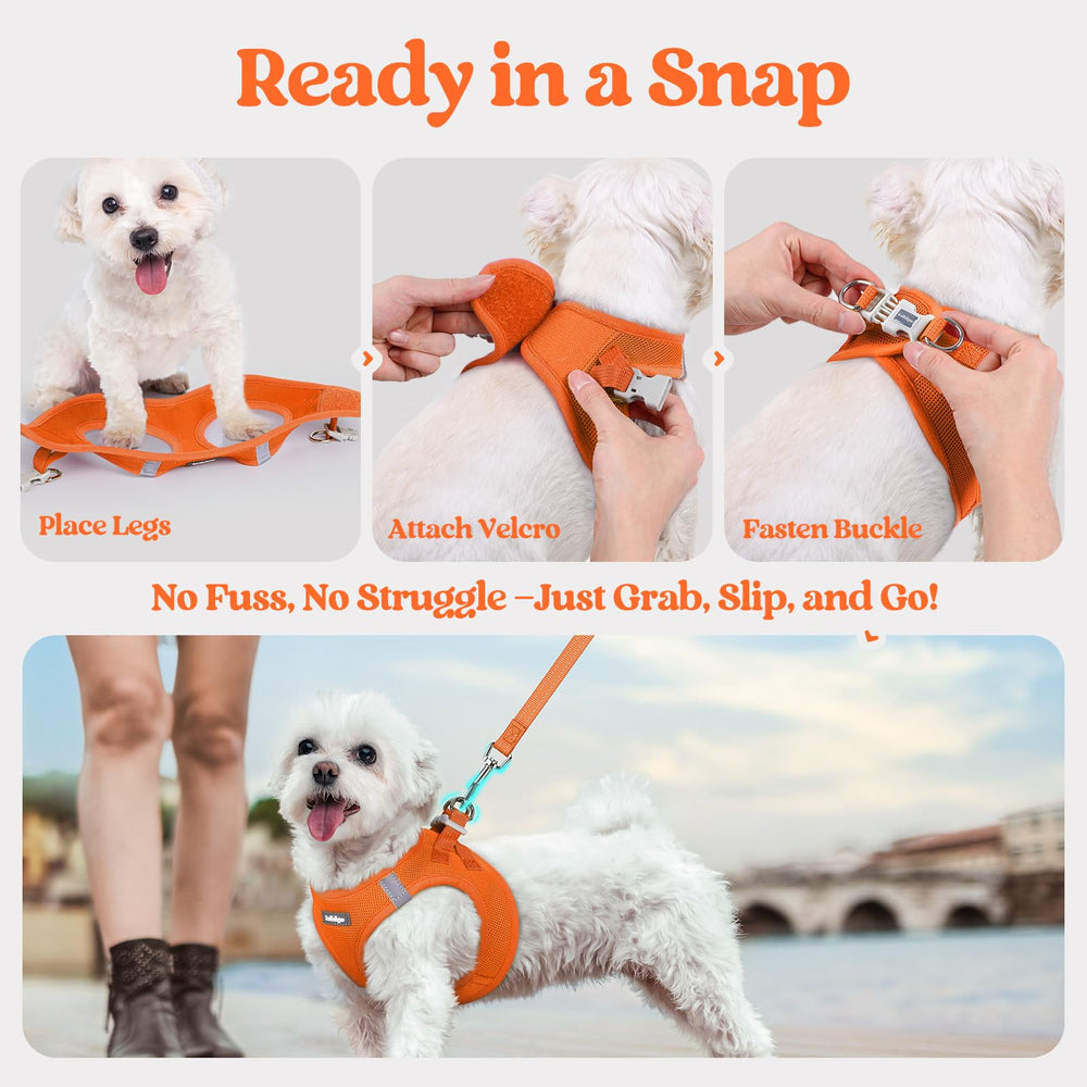 Rabbitgoo magic tape and buckle closure for secure fastening