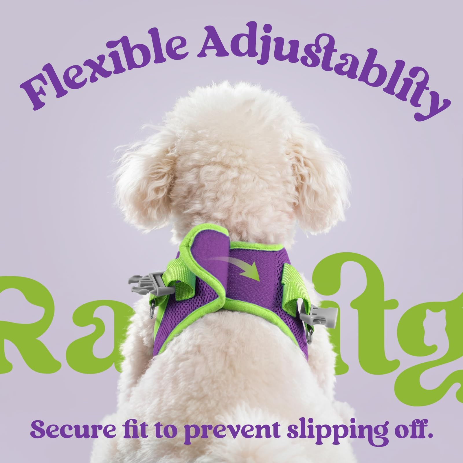 Rabbitgoo matching leash 5.1 ft for coordinated look