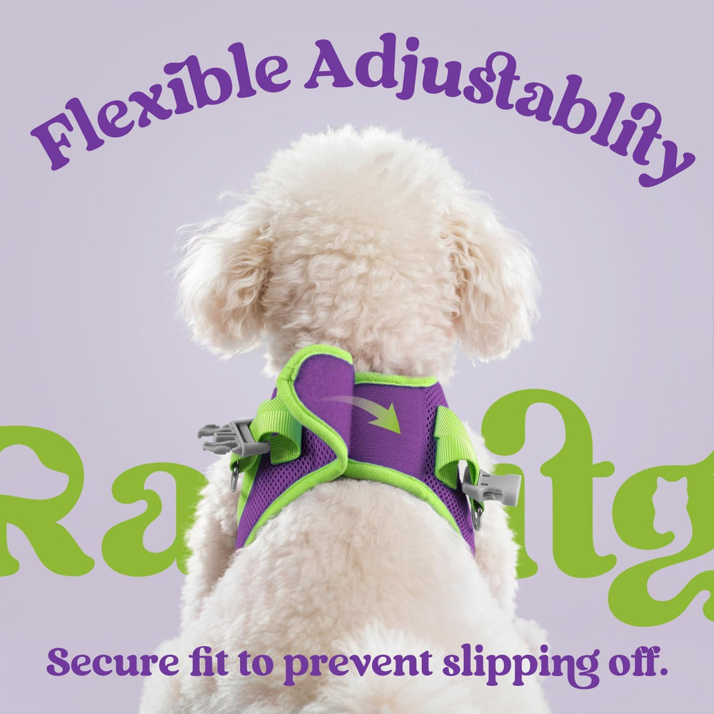 Rabbitgoo matching leash 5.1 ft for coordinated look