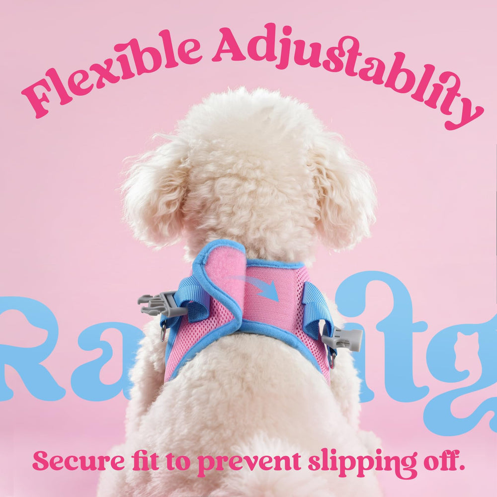 Rabbitgoo matching leash 5.1 ft light blue for secure control