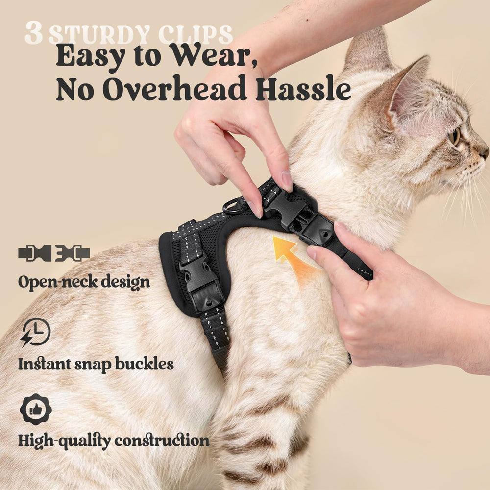 Rabbitgoo neck buckle eases on-and-off during fittings.