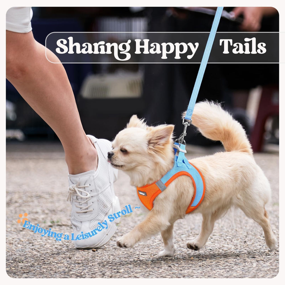 rabbitgoo night-time visibility with reflective strips enhances evening strolls.