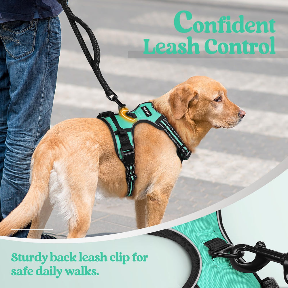 Rabbitgoo turquoise harness with reflective night visibility for dogs.