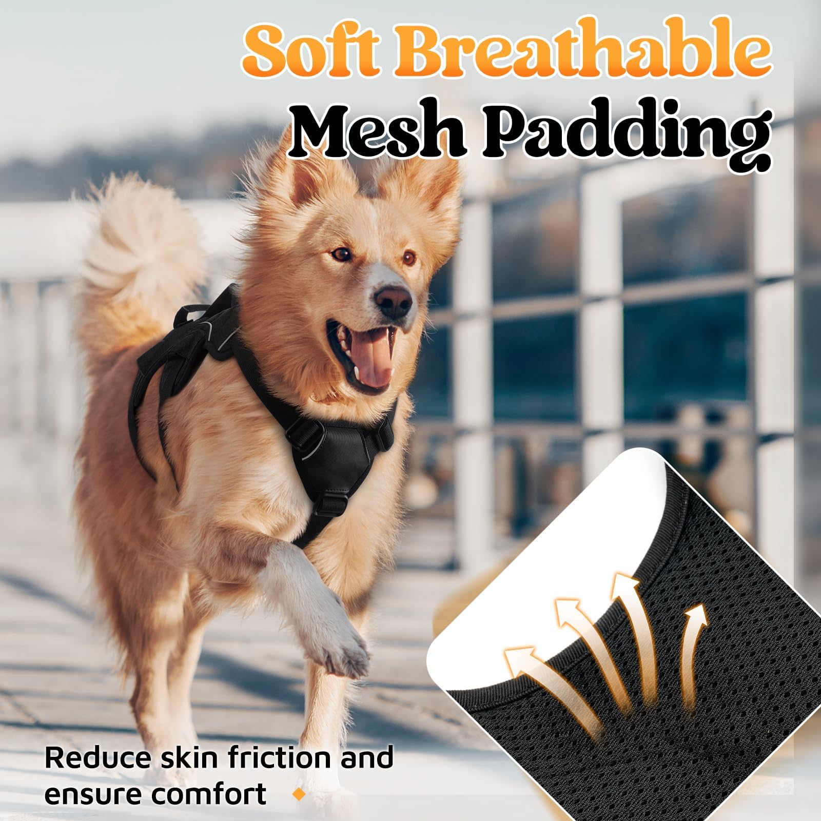 Rabbitgoo no pull design helps gentle control without choking