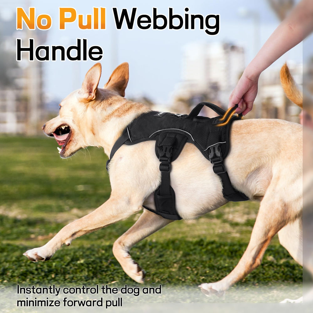 Rabbitgoo no-pull back D-ring enables controlled daily use.