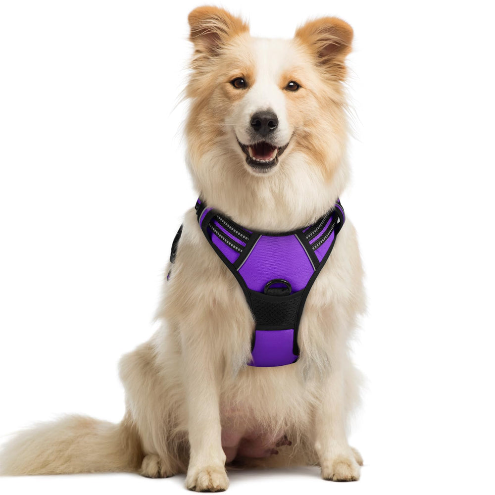Rabbitgoo no-pull harness front chest clip for safe control on walks.