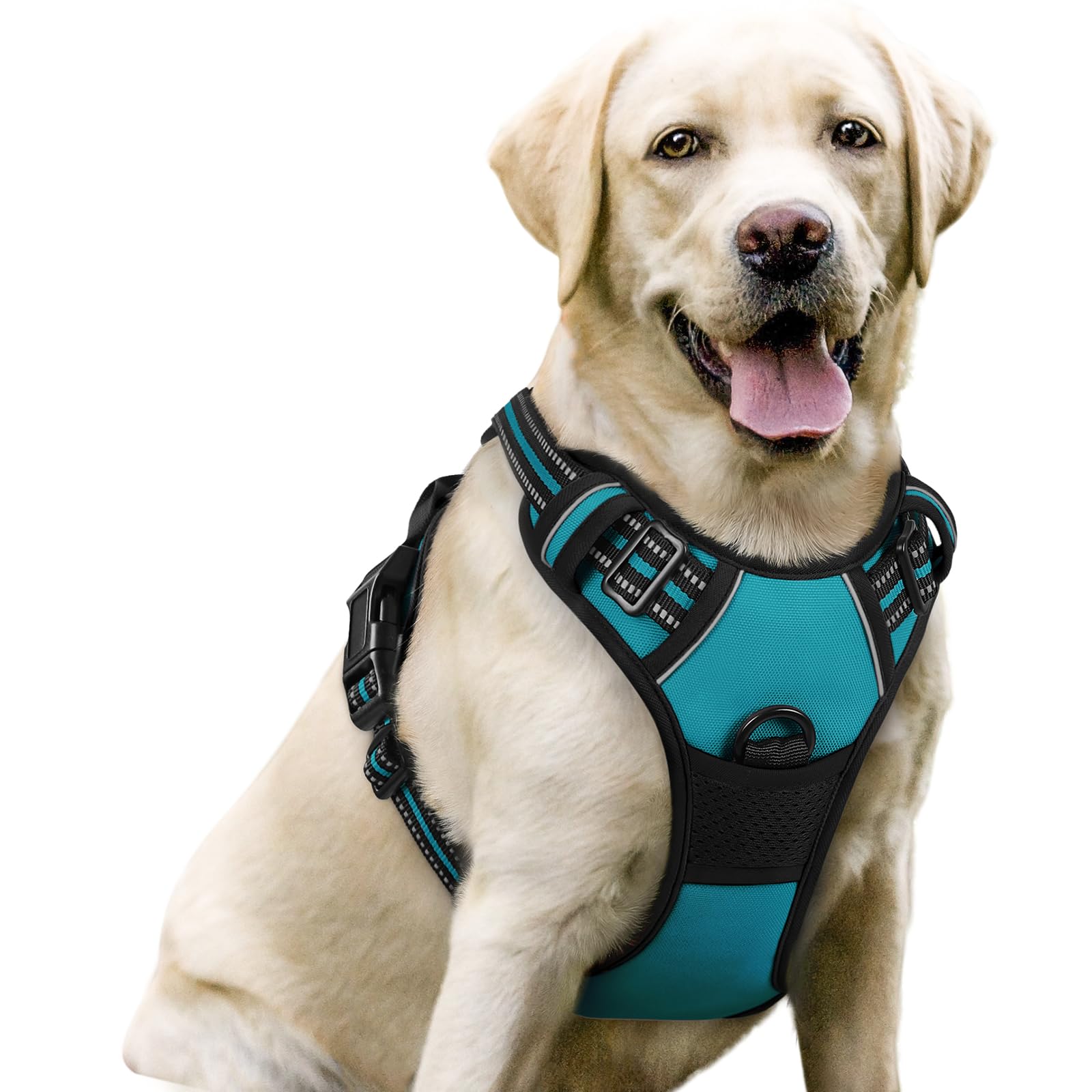 Rabbitgoo no pull harness with front clip for safer walks and training