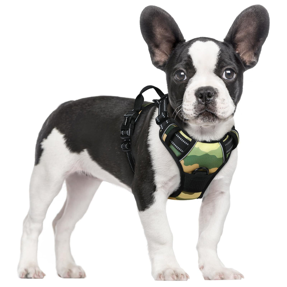 Rabbitgoo no-pull harness with dual leash clips for safer, controlled dog walks.