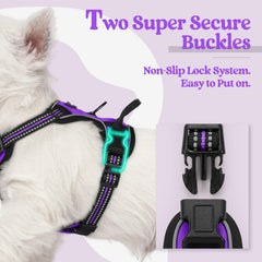 Rabbitgoo back clip supports casual walks and jogging with ease.