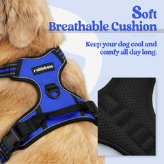 Rabbitgoo back-clip harness for casual walks and training sessions.