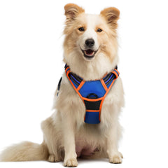 Rabbitgoo no-pull harness blue-orange front view improves leash control during walks.