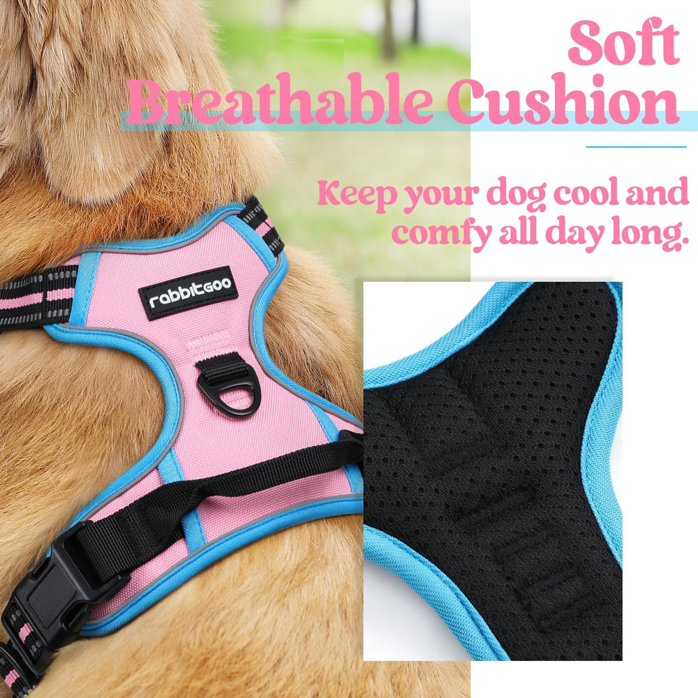 Rabbitgoo chest-attachment closeup showing secure no-pull training clip