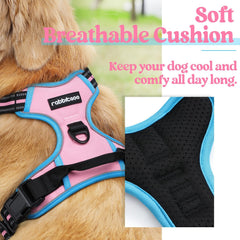 Rabbitgoo chest-attachment closeup showing secure no-pull training clip