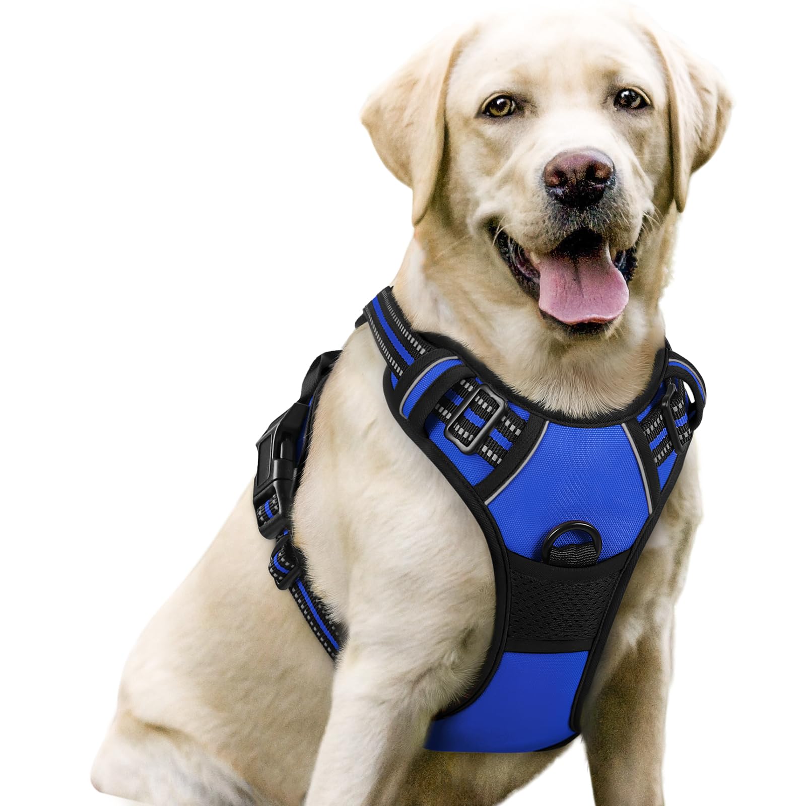 Rabbitgoo no-pull harness chest clip provides safer control during walks.