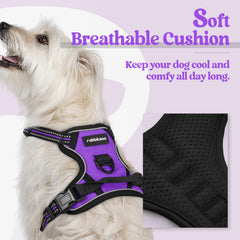 Rabbitgoo chest clip reduces pulling during walks for better training.
