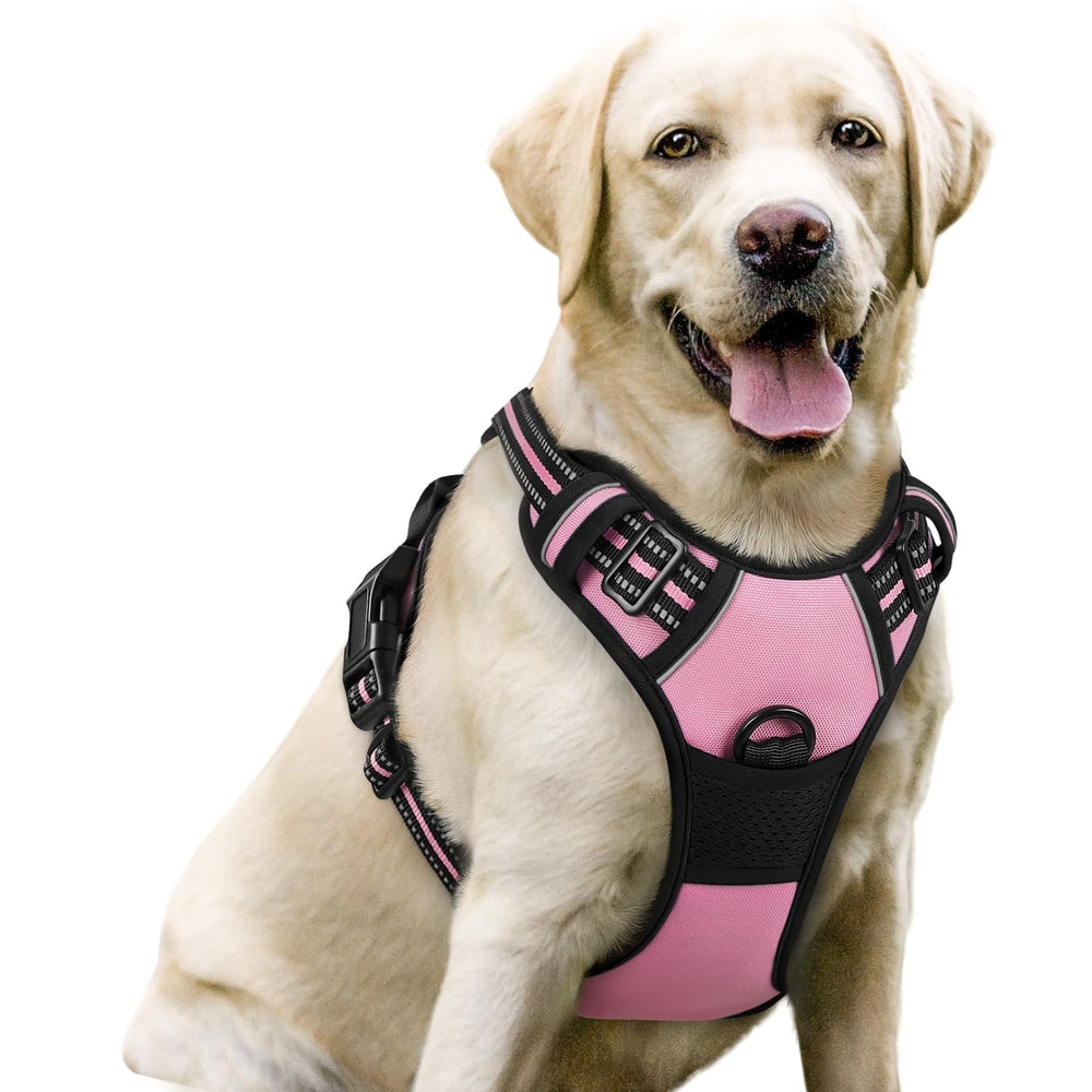 Rabbitgoo no-pull harness front clip reduces pulling for calmer walks