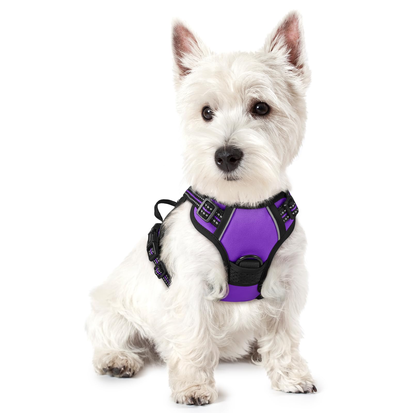 Rabbitgoo no-pull harness overhead design makes fitting easy for small dogs.