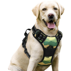 Rabbitgoo no-pull harness on large dog with overhead strap for easy control.