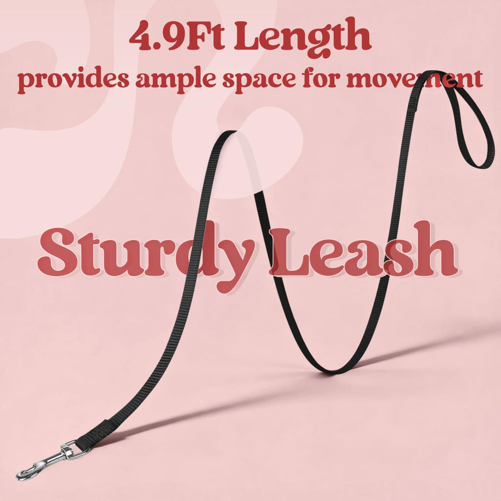 Rabbitgoo no-slip-over-head design for easy and stress-free wearing.