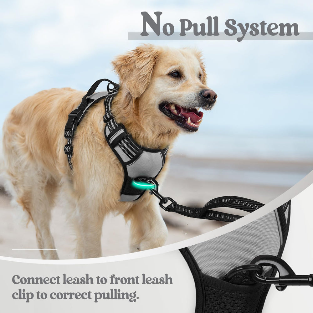 Rabbitgoo overhead easy-on harness design