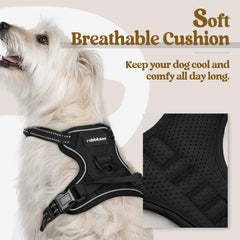 rabbitgoo overhead harness is easy to put on for quick daily walks