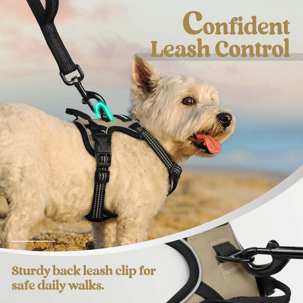 Rabbitgoo overhead design for easy on-off, fuss-free wearing.