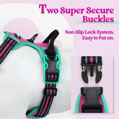 Overhead Rabbitgoo harness with fast-release buckles for easy on/off.