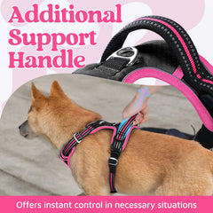 Rabbitgoo padded dog vest offers cushioned comfort for all-day wear and activity.