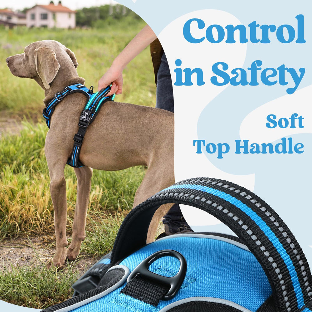 Rabbitgoo padded edges prevent irritation during all day wear