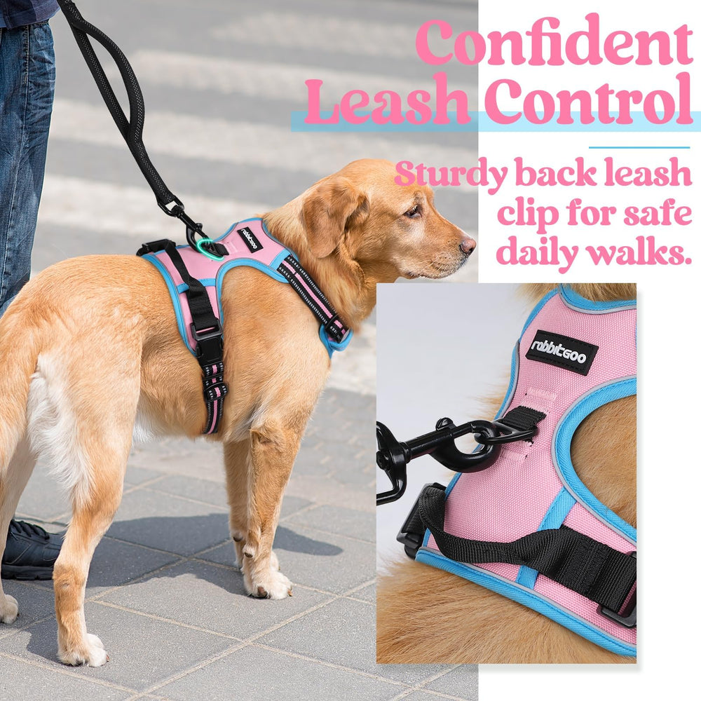 Rabbitgoo padded oxford with breathable mesh keeps dogs cool on walks