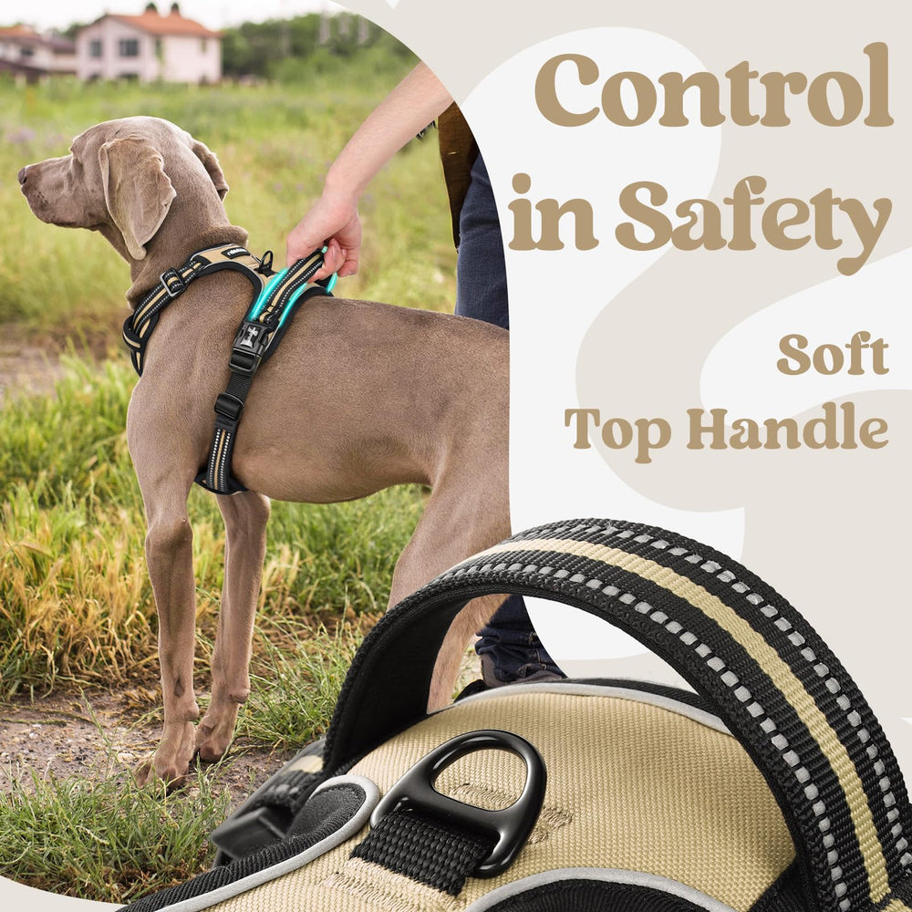Rabbitgoo padded edges prevent irritation during daily wear.