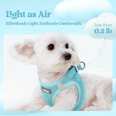 Rabbitgoo palm-friendly handle leash for secure, comfortable control.