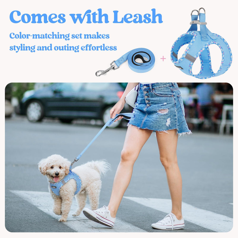 Rabbitgoo palm-friendly handle on the leash for comfortable control.