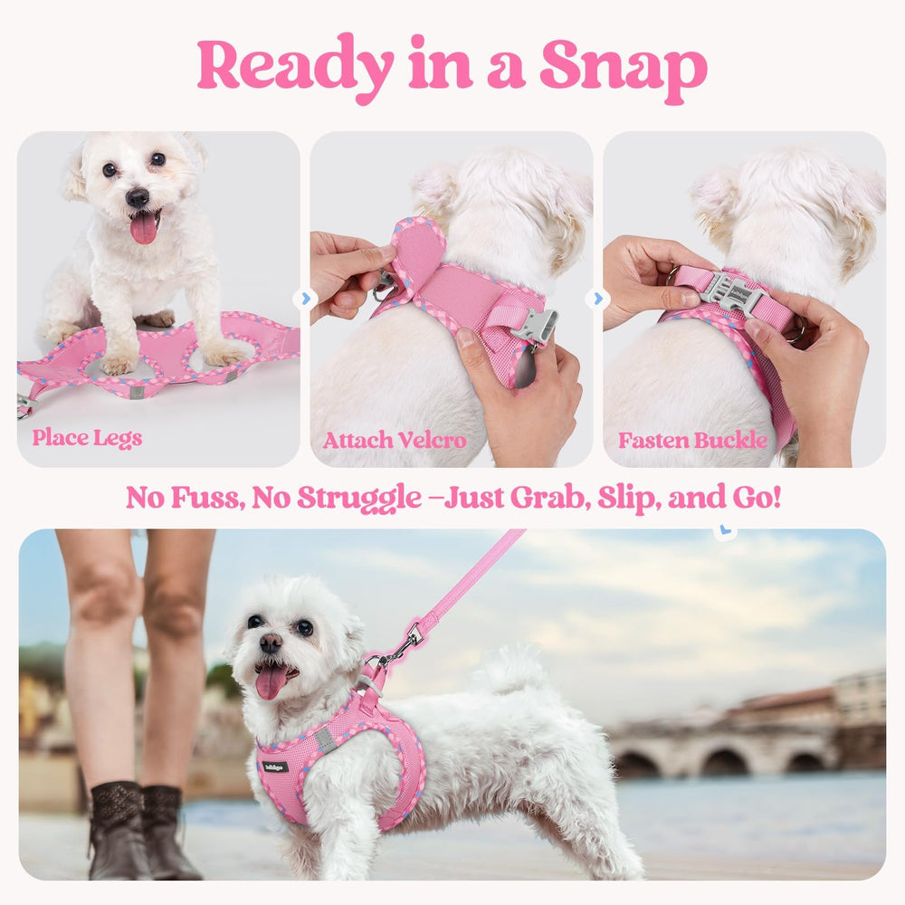 Rabbitgoo pink plaid trim harness adds playful style to daily walks.