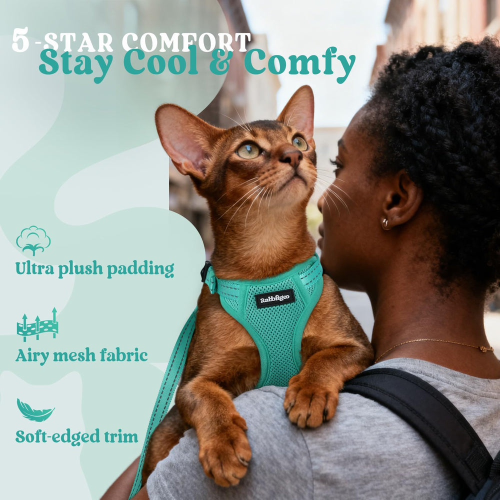 Rabbitgoo plush inner padding provides gentle cushioning.