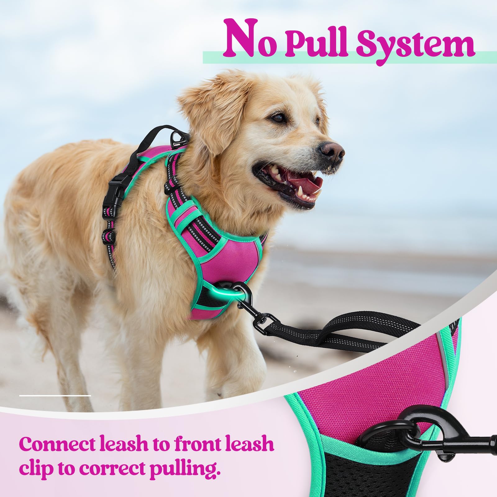 Sturdy polyester Oxford padding on Rabbitgoo harness for comfort