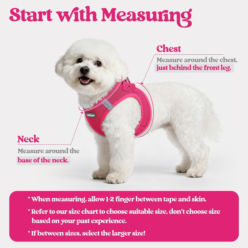 rabbitgoo puppy vest breathable mesh keeps dogs cool during walks.
