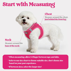 rabbitgoo puppy vest breathable mesh keeps dogs cool during walks.