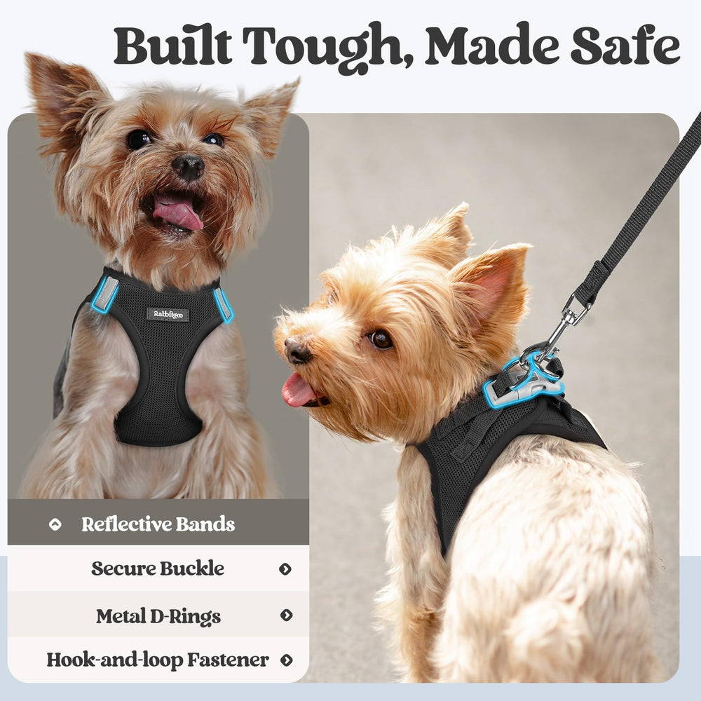 Rabbitgoo puppy vest ergonomic design distributes pulling for comfort.