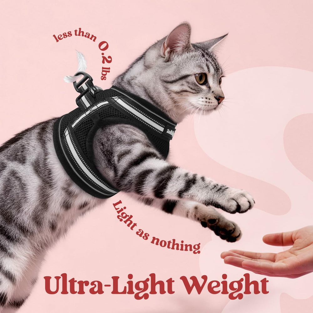 Rabbitgoo quick-release buckle and D-ring for reliable leash attachments.