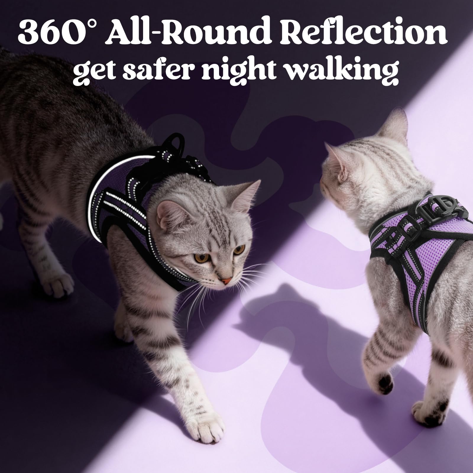 Rabbitgoo quick-release buckle keeps fittings secure and easy