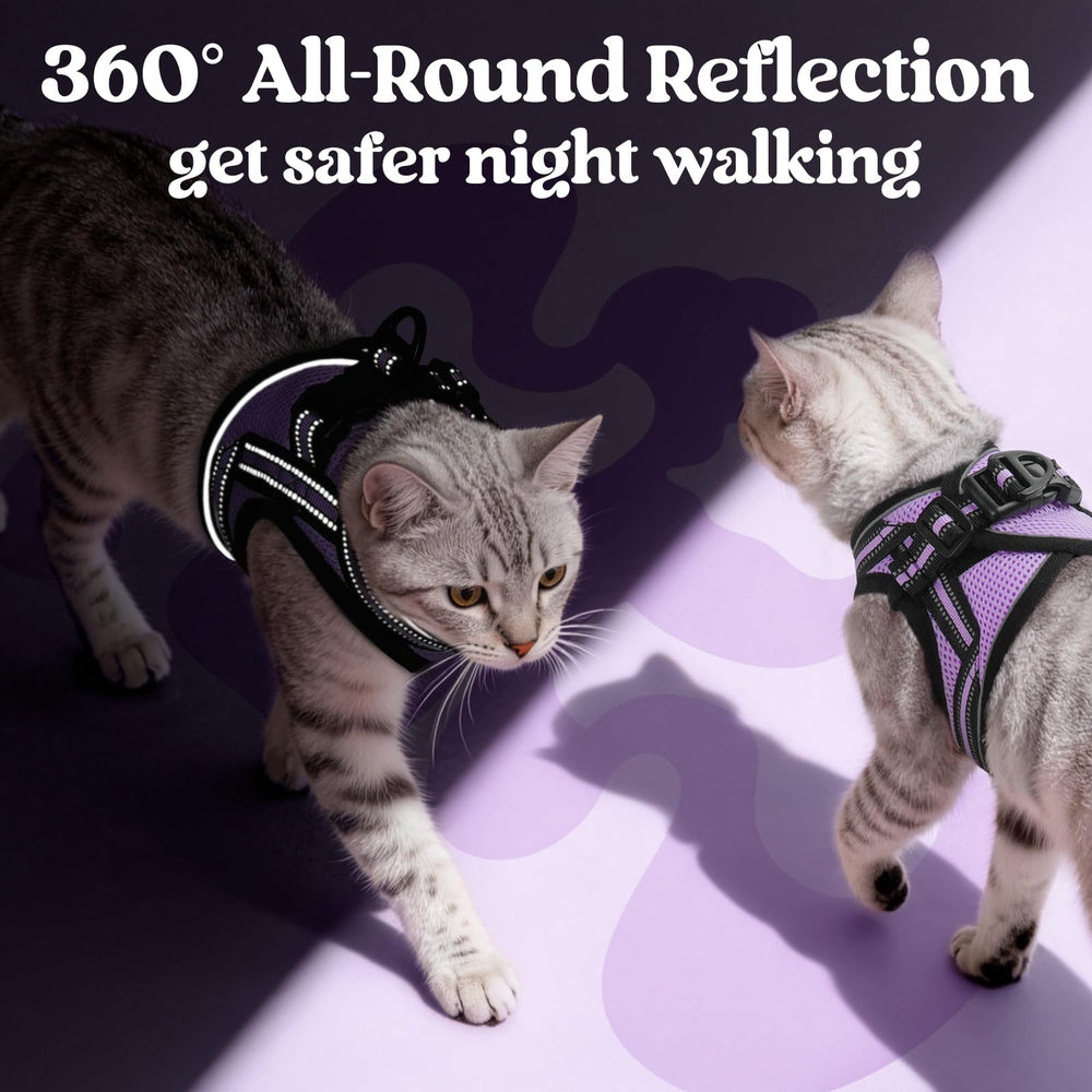 Rabbitgoo quick-release buckle keeps fittings secure and easy