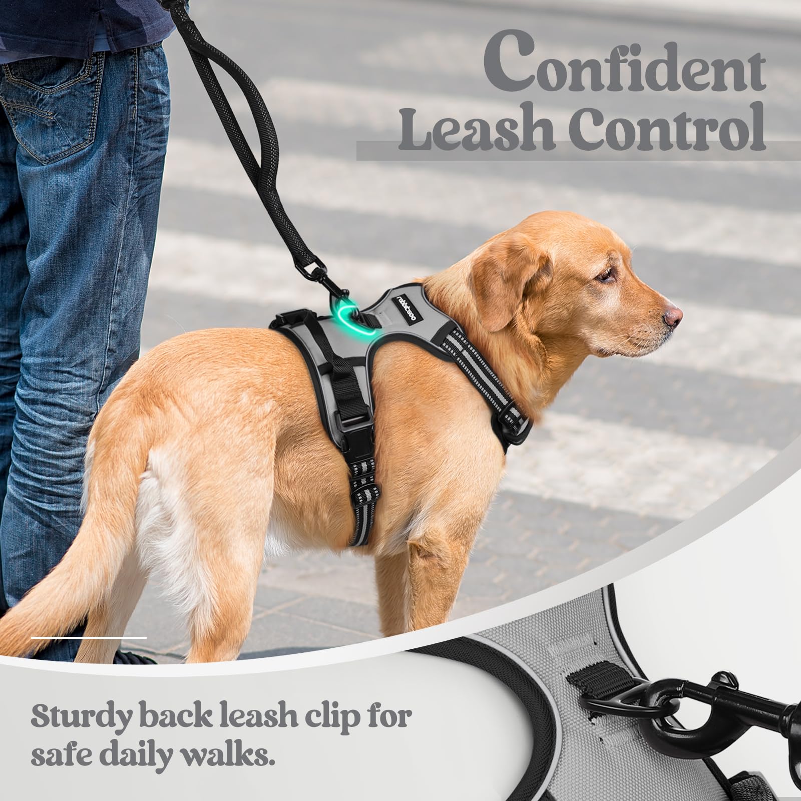 Rabbitgoo quick-release buckles harness for fast dressing