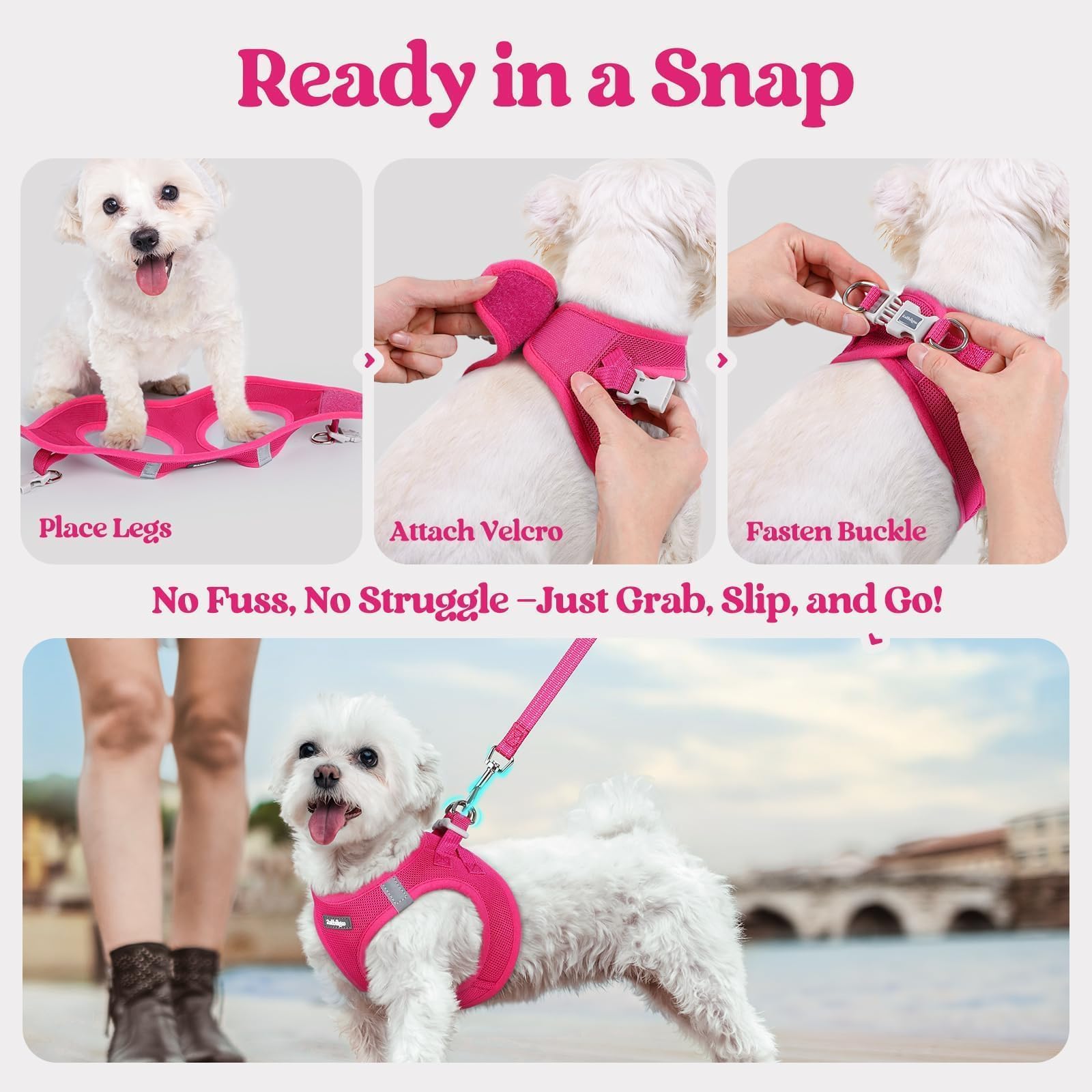 Rabbitgoo Rosa red packaging showing coordinated harness and leash set