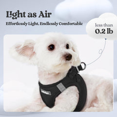 Rabbitgoo reflective bands boost visibility for safe evening walks.