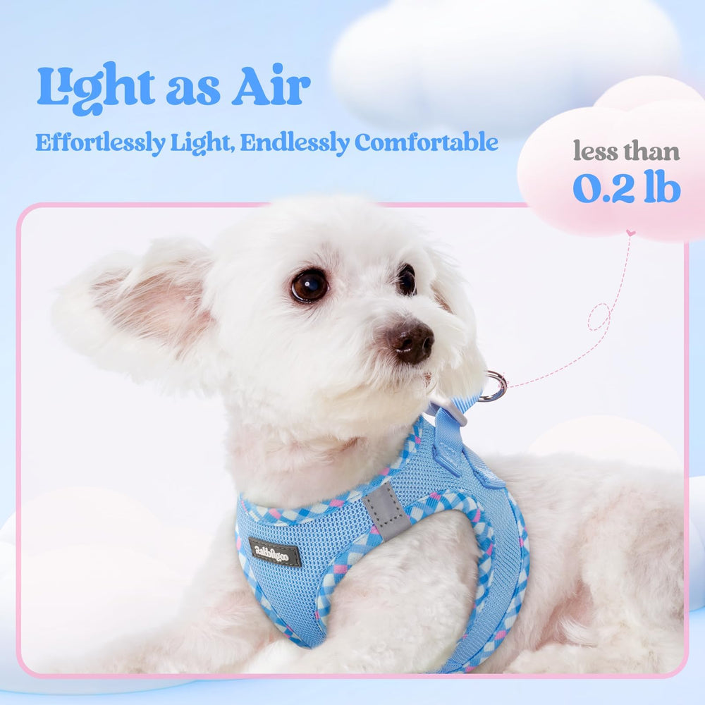 Rabbitgoo reflective bands harness aids safe nighttime or dawn walks