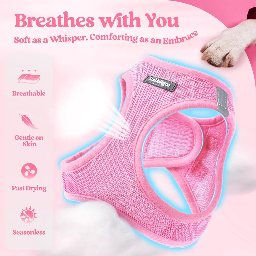 Rabbitgoo harness with reflective bands for safer evening walks.