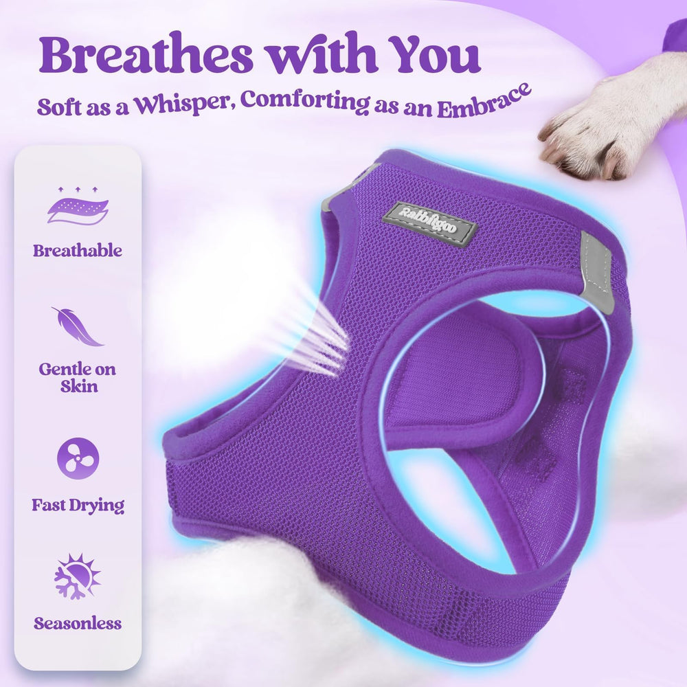 Rabbitgoo reflective bands enhance visibility for safer evening strolls.